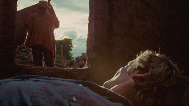 кадр из фильма The Last Movie