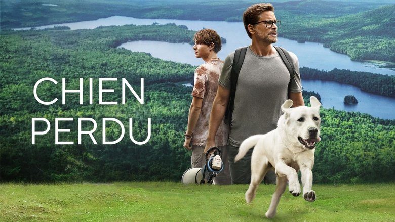 кадр из фильма Пропала собака