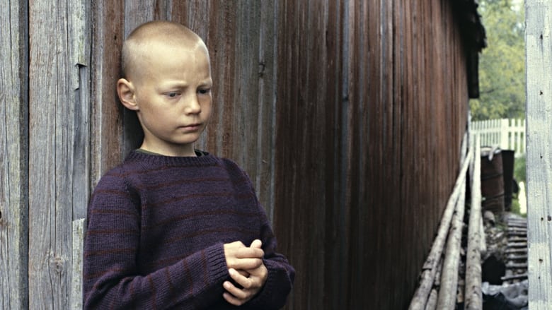 кадр из фильма Minä, siili ja trumpetti