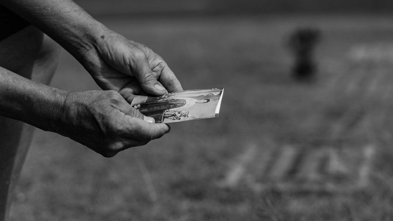 кадр из фильма 하와이 연가