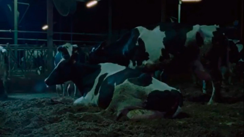 кадр из фильма Mater inerta