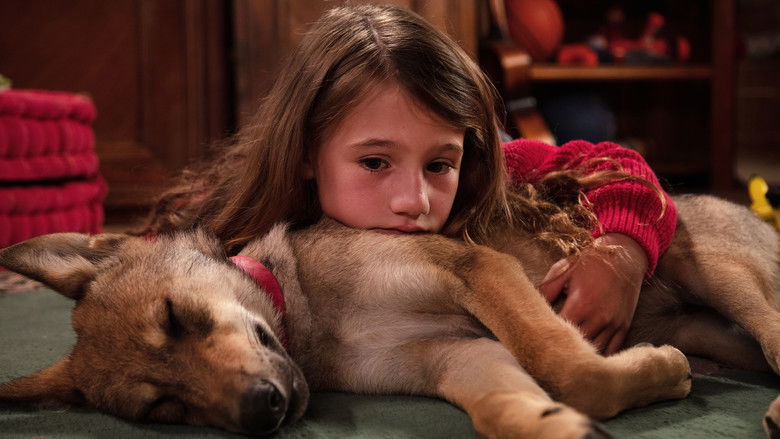 кадр из фильма Мой волк