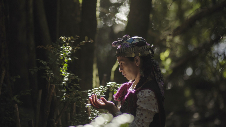 кадр из фильма Inche Machi