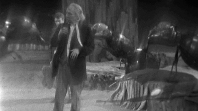 кадр из фильма Doctor Who: The Web Planet