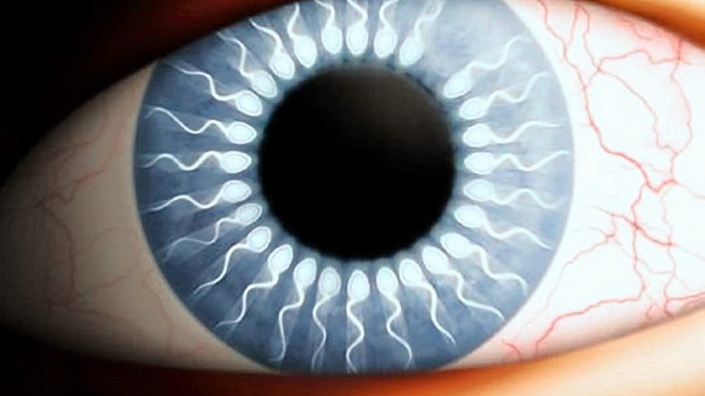 кадр из фильма Потомство Чаки