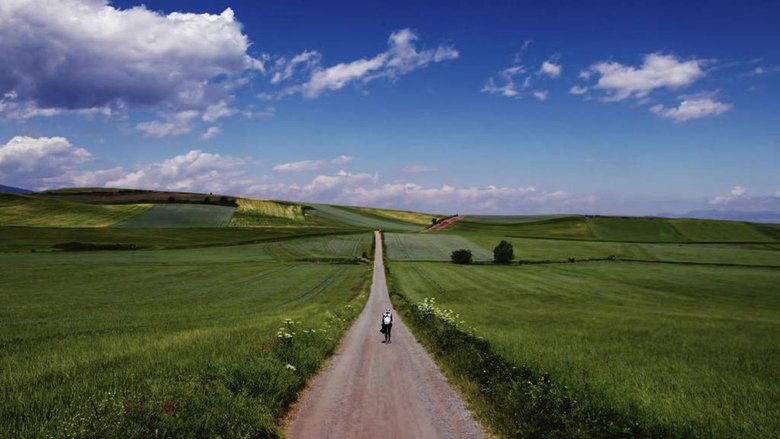 кадр из фильма 엘 카미노