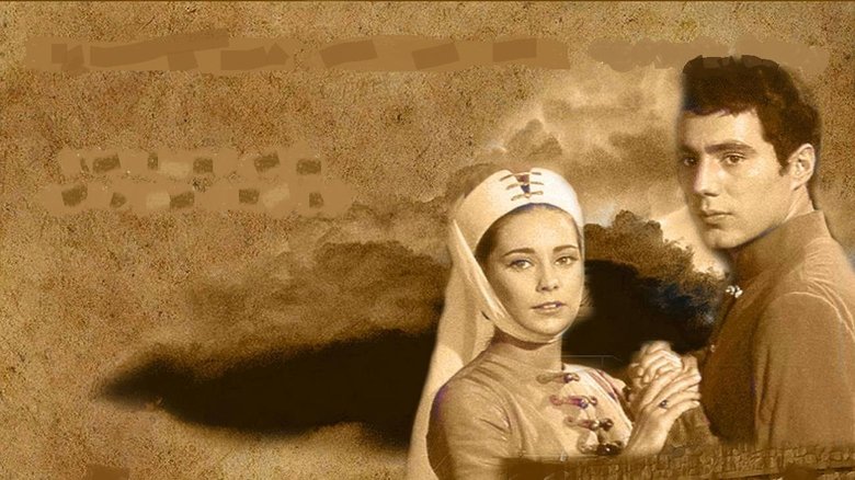 Звезды Эгера