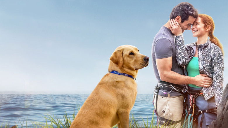 кадр из фильма Guiding Emily