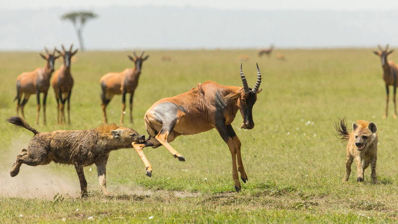 кадр из фильма Der Clan der Hyänen
