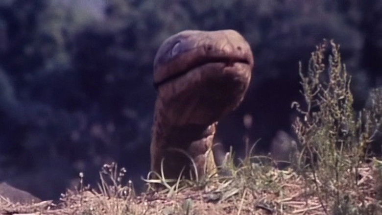 кадр из фильма Thunder of Gigantic Serpent