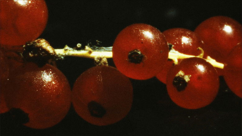 кадр из фильма and so it came about (A Tale of Consequential Dormancy)