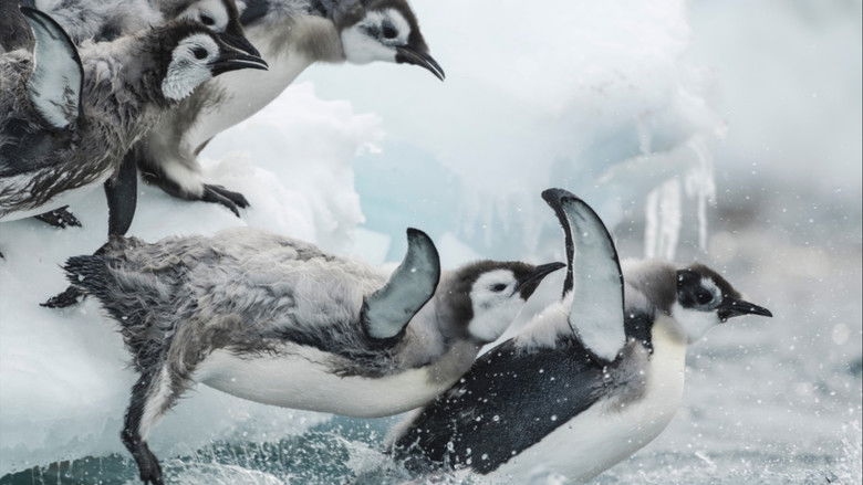 кадр из фильма Antarctica, sur les traces de l'empereur