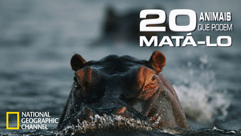 кадр из фильма 20 Animals That Will Kill You