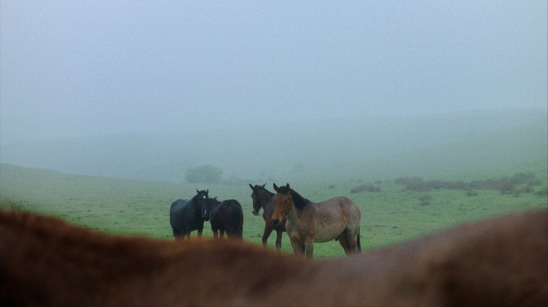 кадр из фильма Тихи Наблюдатели
