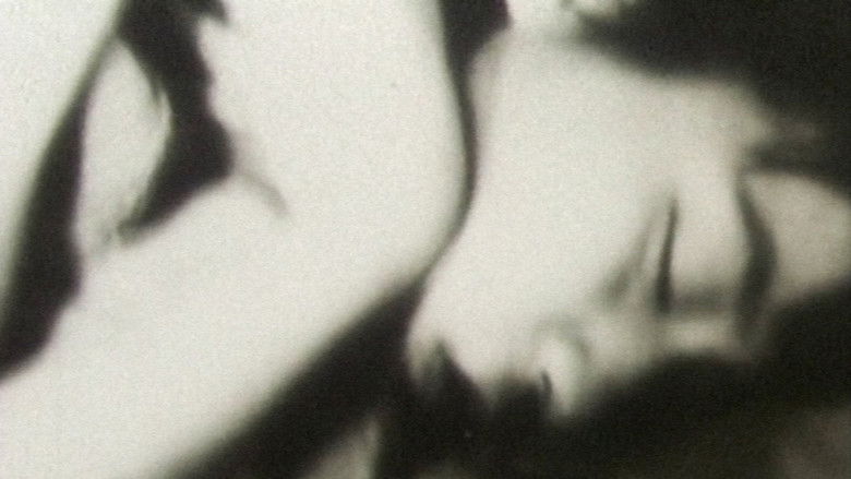 кадр из фильма 続・おでかけ日記～第2章～草の家