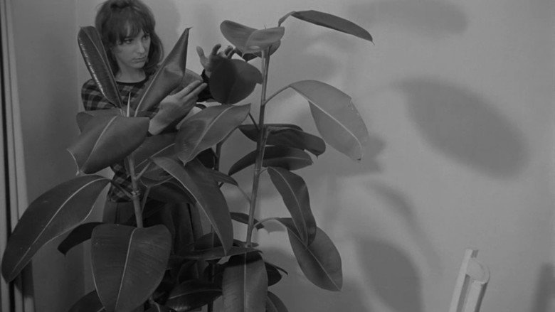 кадр из фильма l'avatar botanique de mademoiselle flora