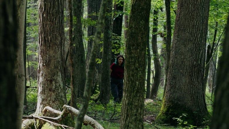 кадр из фильма Through The Trees