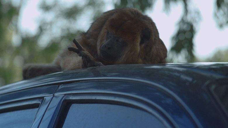 кадр из фильма Los cruces