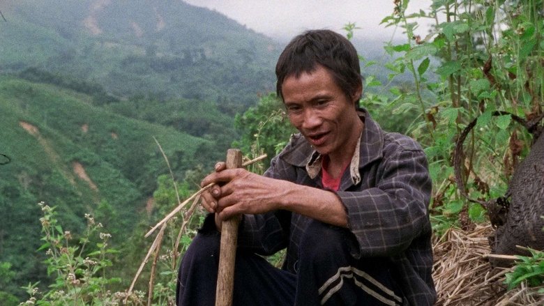 кадр из фильма Nhà Cây