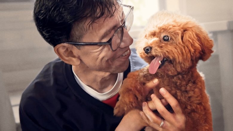 кадр из фильма Pets