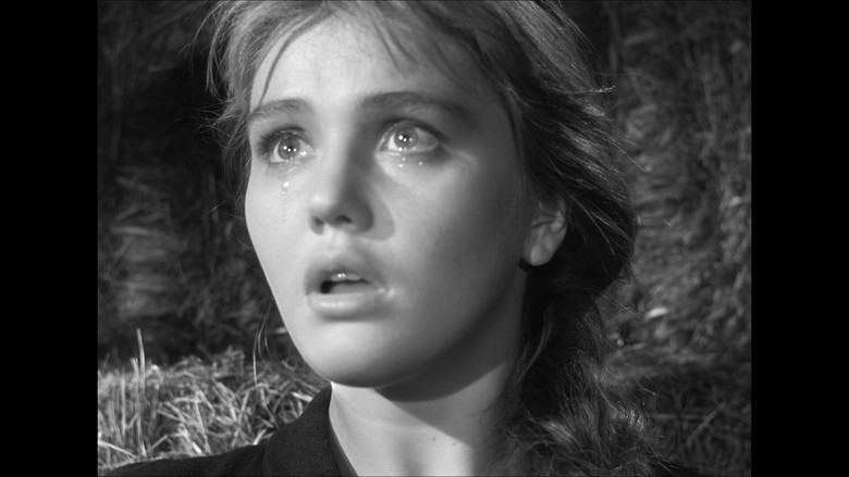 кадр из фильма Баллада о солдате