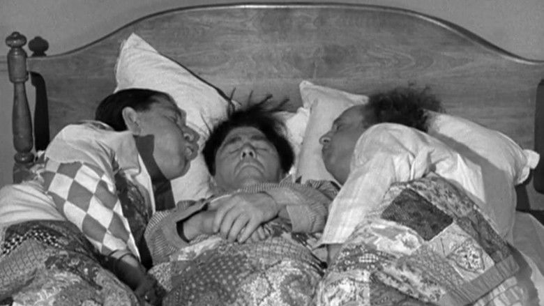 кадр из фильма Восхождение в пентхауз Дейзи