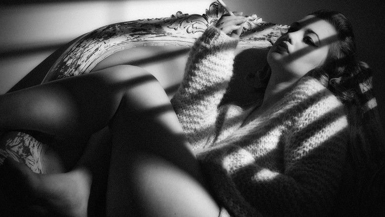 кадр из фильма Film Noir: Bringing Darkness to Light