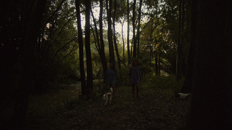 кадр из фильма Las Posibilidades de una Isla