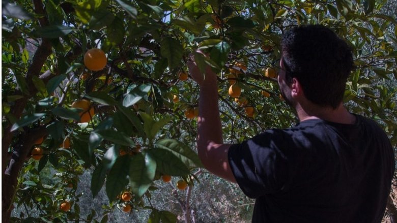 кадр из фильма Al óleo