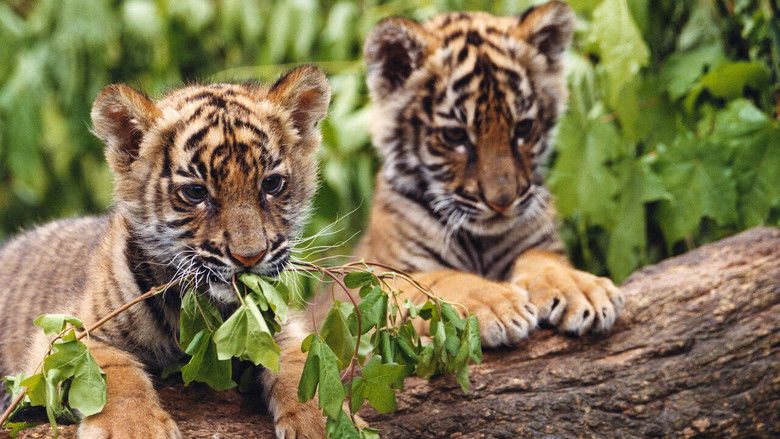 кадр из фильма Два брата