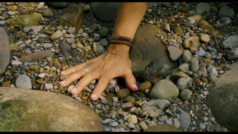 кадр из фильма Medianoche de esplendor