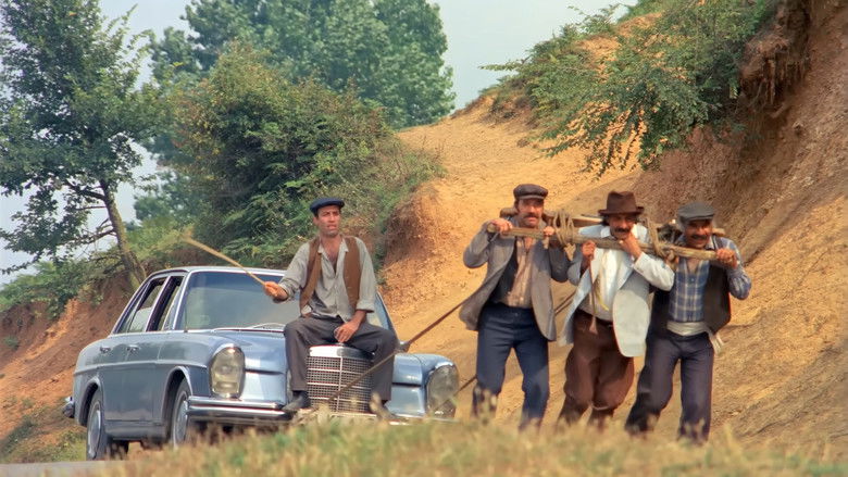 кадр из фильма Şark Bülbülü