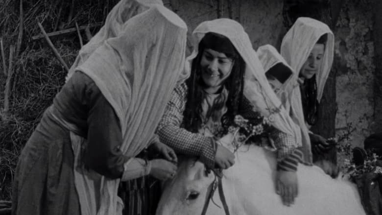 кадр из фильма Алим