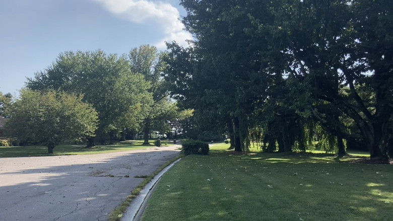 кадр из фильма mailboxes