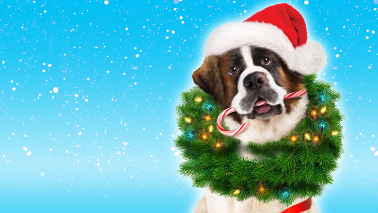 кадр из фильма Рождественское приключение Бетховена