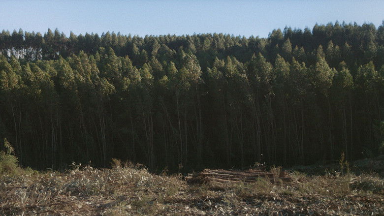 кадр из фильма Contos do esquecimento