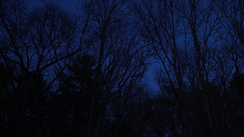 кадр из фильма Hollow Walker of the Lake