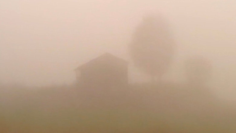 кадр из фильма Сухой лист