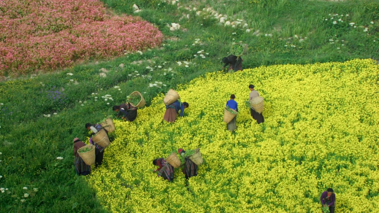 кадр из фильма Nature : pour une réconciliation