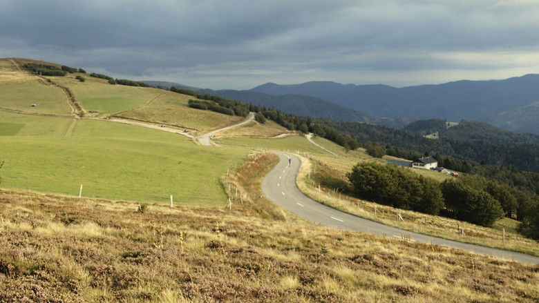 кадр из фильма Sk8erboi