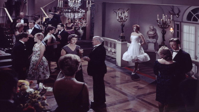 кадр из фильма Komtessen