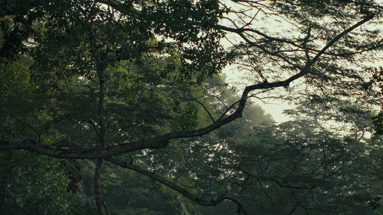 кадр из фильма Cautiverio