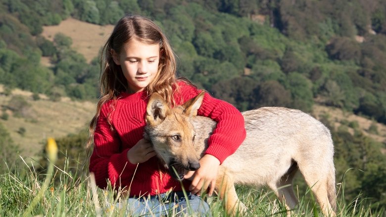 кадр из фильма Мой волк