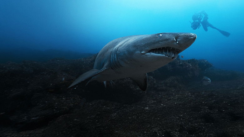 кадр из фильма Лицом к лицу с акулами с Берти Грегори