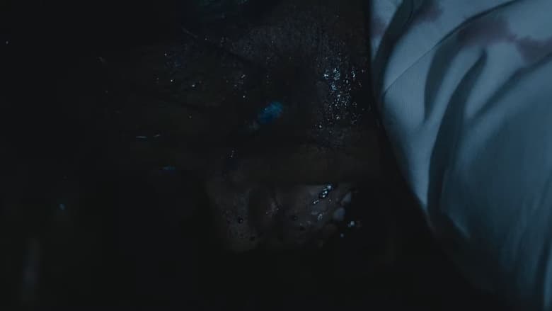 кадр из фильма The Silence After