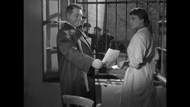 кадр из фильма Бродячие собаки без ошейников