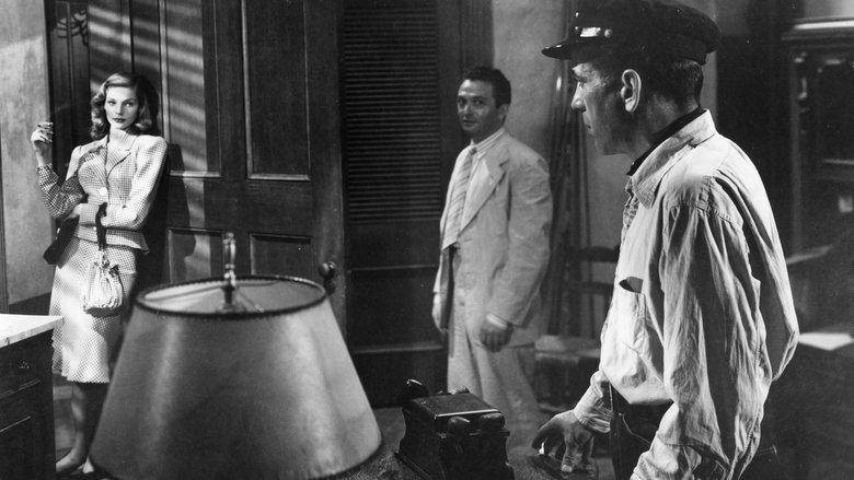 кадр из фильма Иметь и не иметь