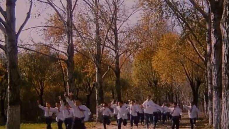 кадр из фильма 失去的梦