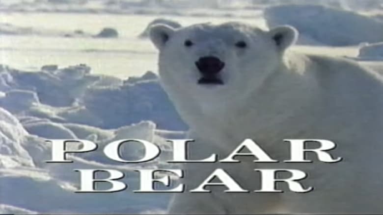 кадр из фильма Predators of the Wild: Polar Bear