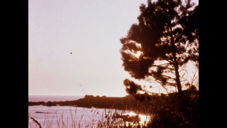 кадр из фильма Matter of Clarity